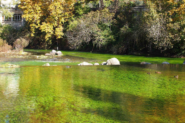 Fontaine de Vaucluse