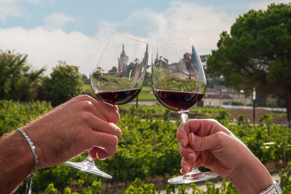 Dégustation de nos vins rouges sur le rooftop