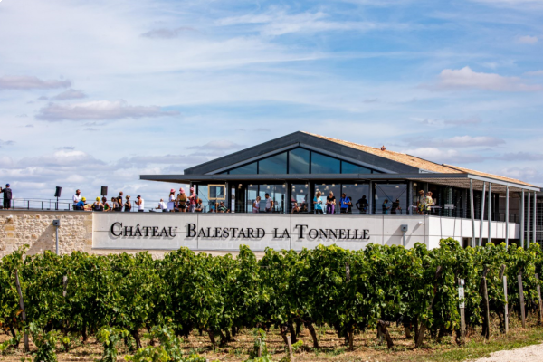 La terrasse vue des vignes