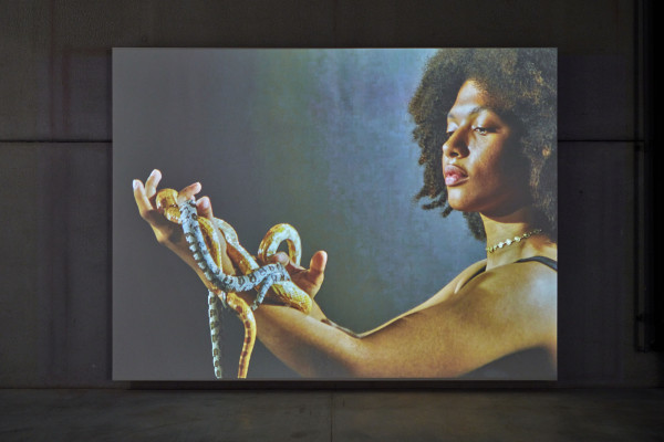 L'exposition "L'art de ne pas être vorace" de Jonathas de Andrade dans le cadre de la Saison France-Brésil 2025 et en collaboration avec Galleria Continua