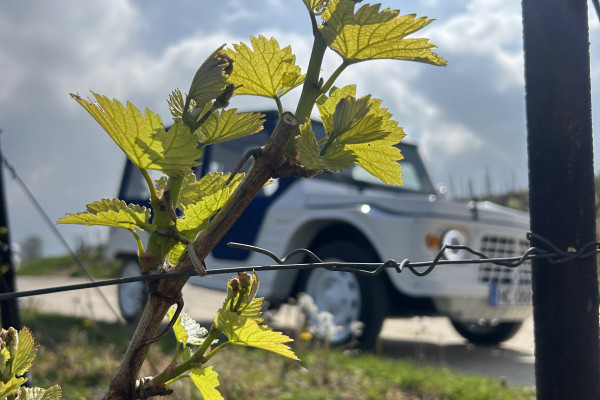 Découvrez la Champagne en totale autonomie