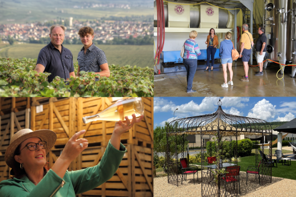 Visite d'une cave chez un vigneron indépendant