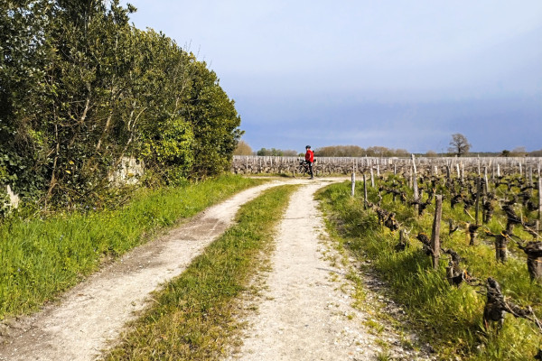 Explorez Margaux à vélo Gravel à travers les paysages uniques de la région