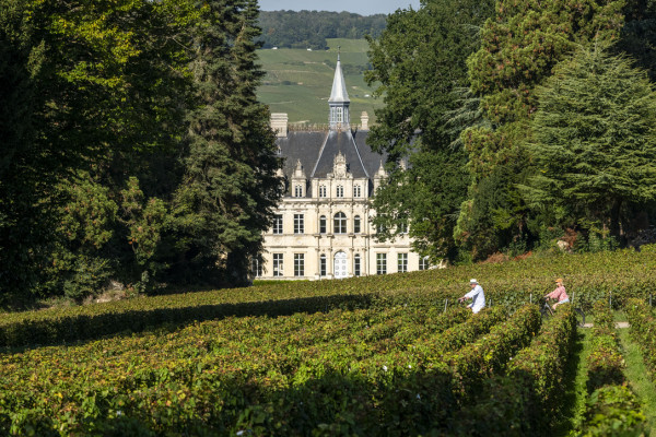 balade à velo Boursault - Vélobourso
