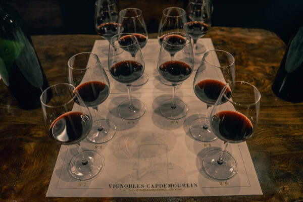 Dégustez 6 vins exceptionnels 