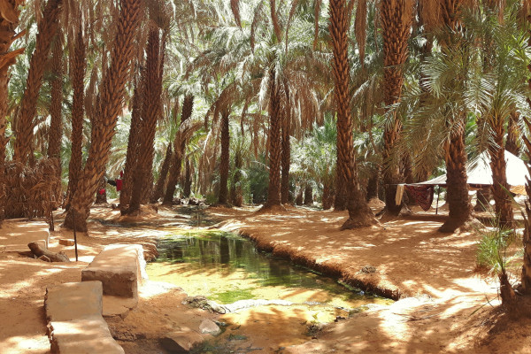L'oasis de Terjit
