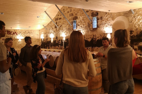 Château à Saint-Emilion