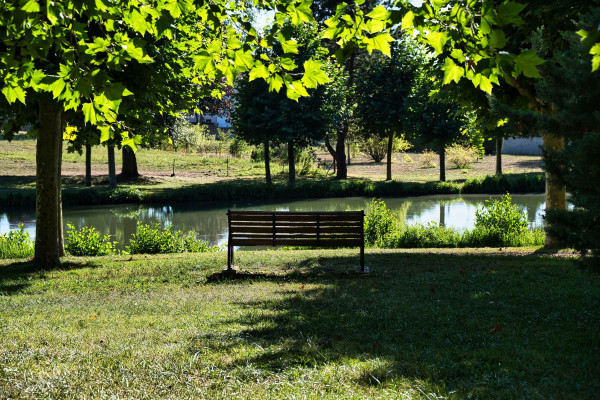 L'étang du Château de Dormans