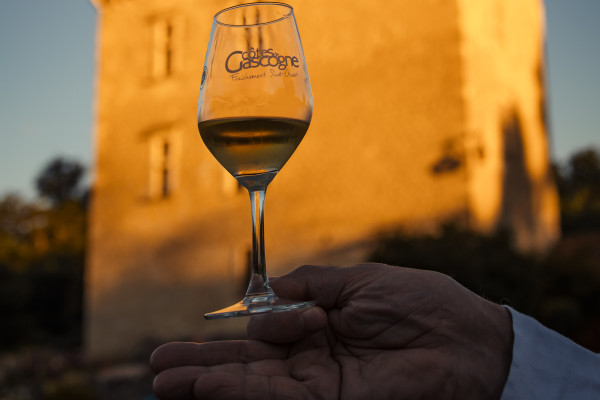 Vineart en Gascogne et à Herrebouc, une soirée où se mêlent arts, vins et gastronomie pour votre plus grand plaisir