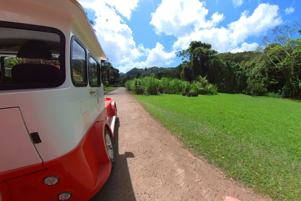 Visite en Petit Train de Tourisme