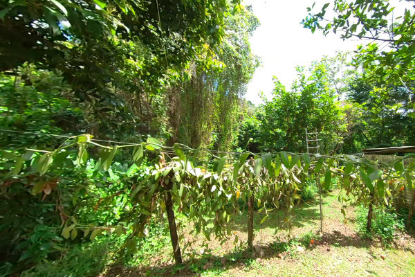 L'hospitalité dans les Jardins Privés