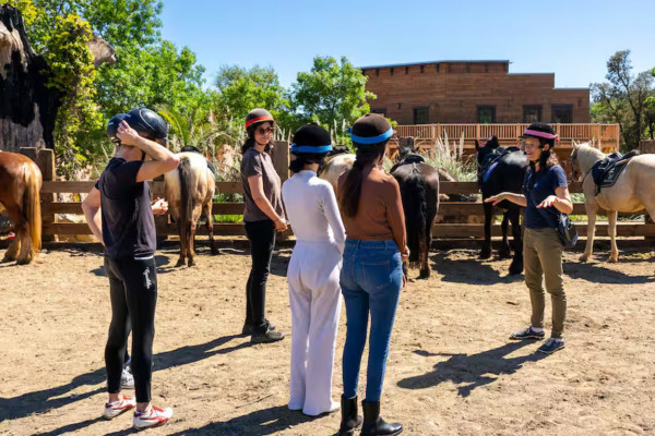 Balade à cheval Grimaud et dégustation de vins - Beyond The Wine