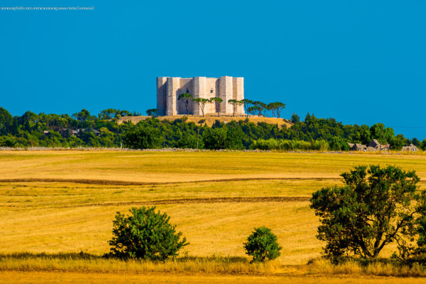 Castel del Monte & Alberobello 