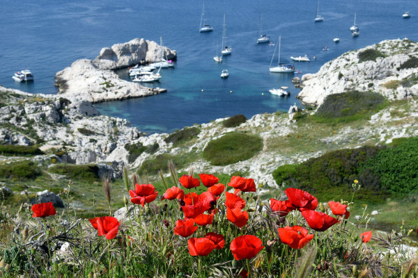 Circuit écologique Parc National des Calanques au Frioul