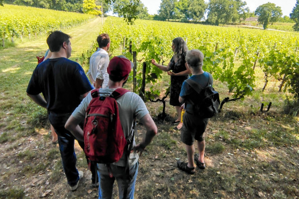 Bordeaux Bike Tours : E-bike or Gravel Bike, French Picnic Lunch and wine tasting in a family owned winery