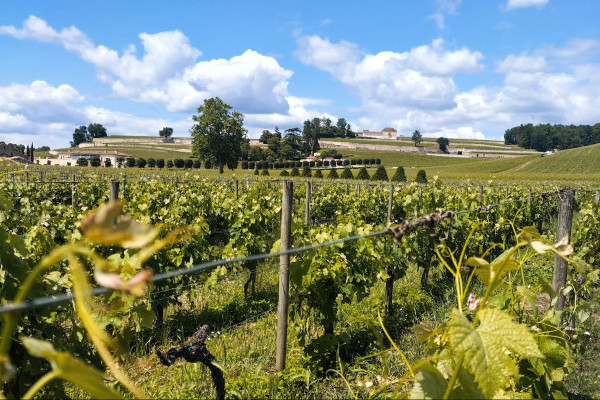 E-bike experience from Bordeaux to Saint Emilion France