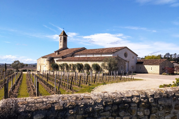 Avec un guide expert, l'itinéraire de Bordeaux à Saint-Emilion à vélo vous emmènera à travers les chemins et les routes de campagne secrètes. 