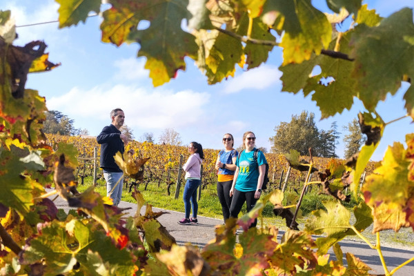 Visite gravel guidée arrivant à un château bordelais.