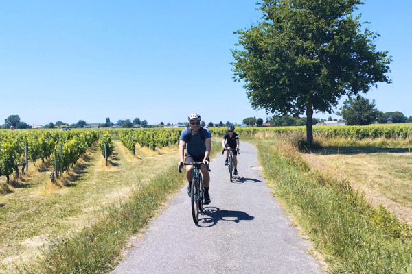 Chemin gravel pittoresque entouré de vignobles près de Bordeaux.