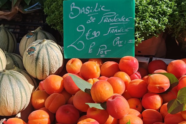 Étal d’un stand du marché avec du melon et des abricots de saison.