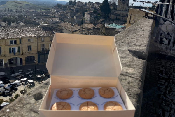 Visite Saint-Emilion Vert Bordeaux macarons