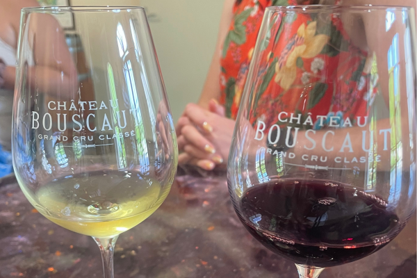 Visite vignoble de Bordeaux hors des sentiers battus Pessac-Léognan Graves