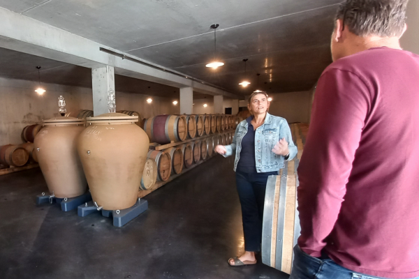 Visite vignoble de Bordeaux hors des sentiers battus Entre-deux-Mers