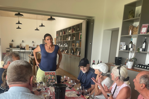 Visite vignoble de Bordeaux hors des sentiers battus Entre-deux-Mers