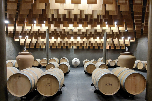 Visite vignoble de Bordeaux hors des sentiers battus Pessac-Léognan Graves