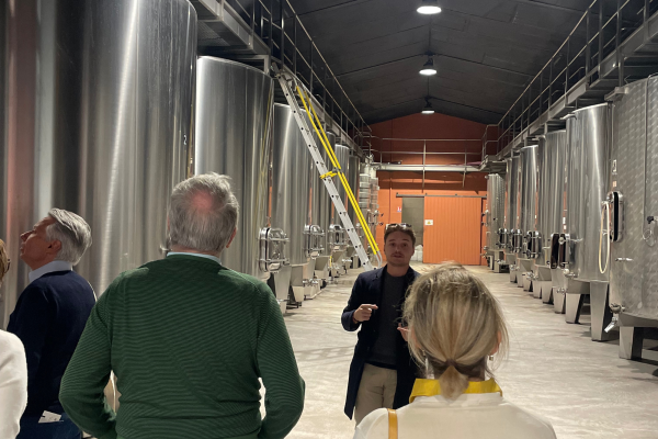 Visite Médoc Vert Bordeaux Cru Bourgeois