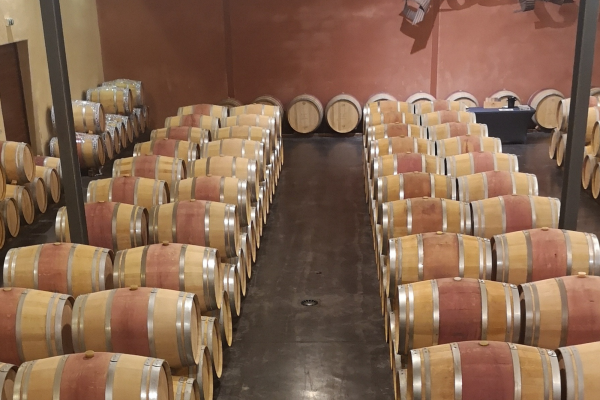 Visite Médoc Vert Bordeaux Cru Bourgeois