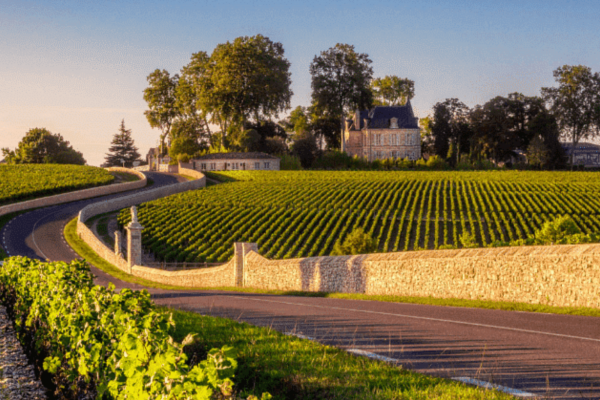 Visite Médoc Vert Bordeaux Cru Bourgeois
