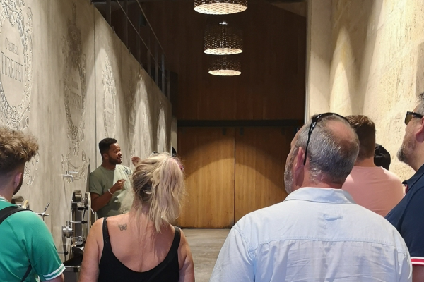 Visite Médoc Vert Bordeaux Grand Cru Classé 1855