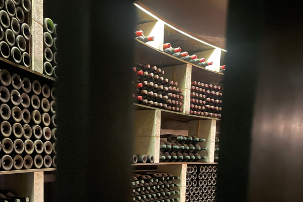 Visite Médoc Vert Bordeaux Grand Cru Classé 1855