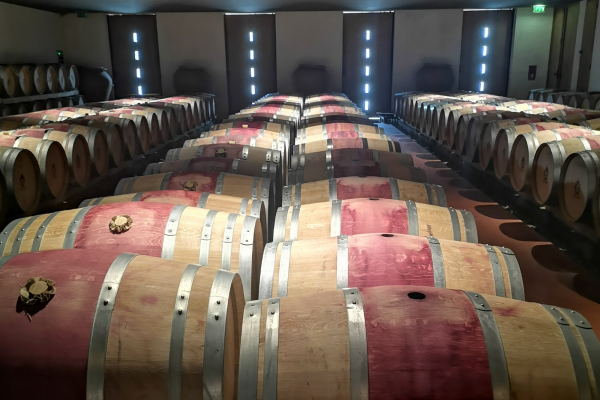 Visite Médoc Vert Bordeaux Grand Cru Classé 1855