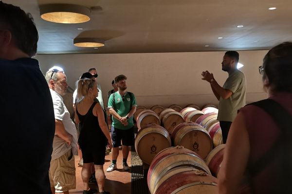 Visite Médoc Vert Bordeaux Grand Cru Classé 1855