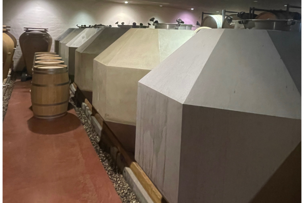 Visite Médoc Vert Bordeaux Grand Cru Classé 1855