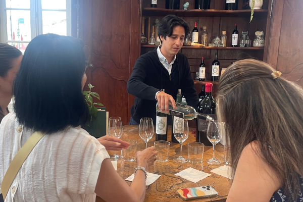 Visite Médoc Vert Bordeaux Grand Cru Classé 1855