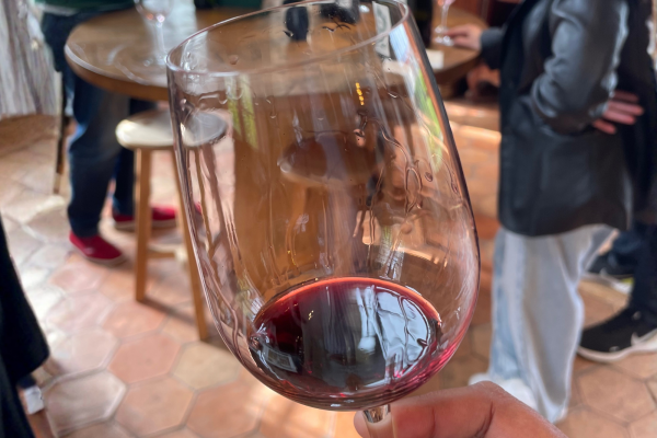 Visite Médoc Vert Bordeaux Grand Cru Classé 1855