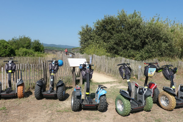 ETANGS DE VILLEPEY - CIRCUIT 2H30