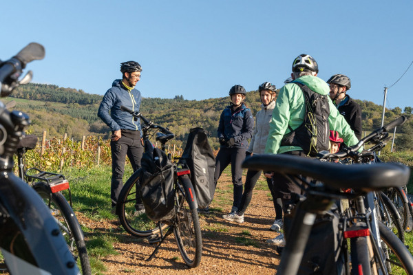 Tour à vélo avec un guide expert en vin