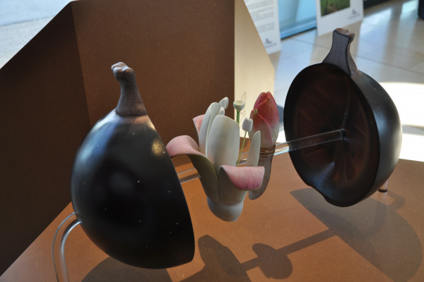 Visite du musée