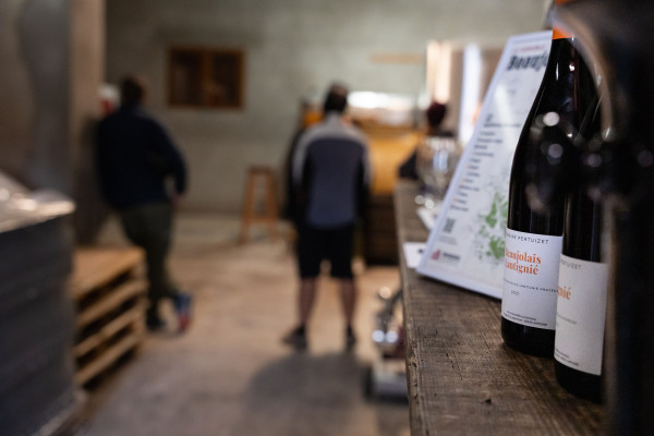 Dégustation de vins du Beaujolais