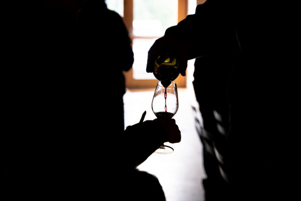 Visite d'un vigneron