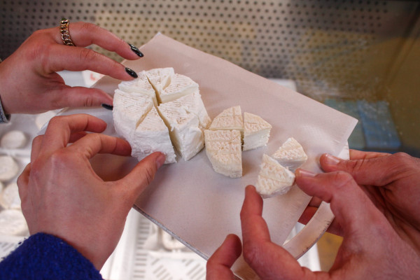 Le guide tient un plateau avec des morceaux de fromage de chèvre frais pour une dégustation sur le marché. Trois mains s'approchent pour déguster.