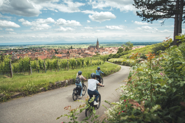 Guide à vélo dans le Vignoble Alsacien