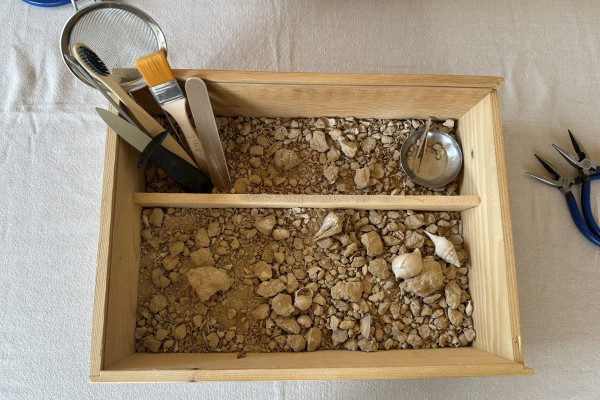 Tous les outils et les matières premières sont mises à votre disposition. Vous cherchez vos coquillages champenois de 45 millions d'années.