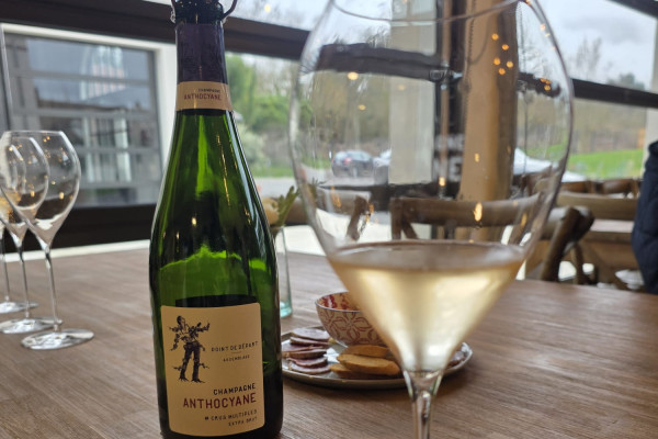 Vous dégustez 3 cuvées du Champagne Anthocyane