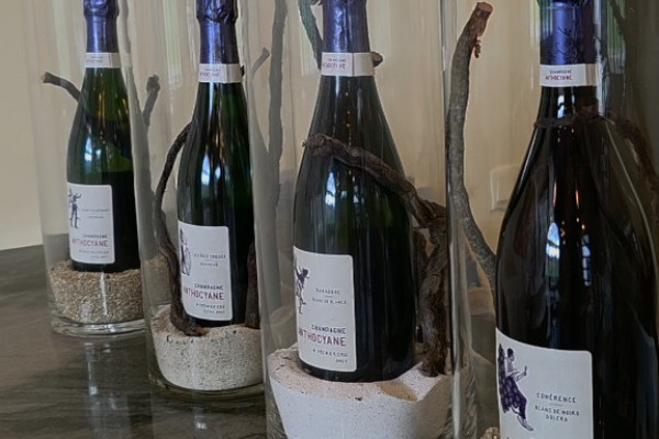 Vous pouvez acheter du champagne sur place
