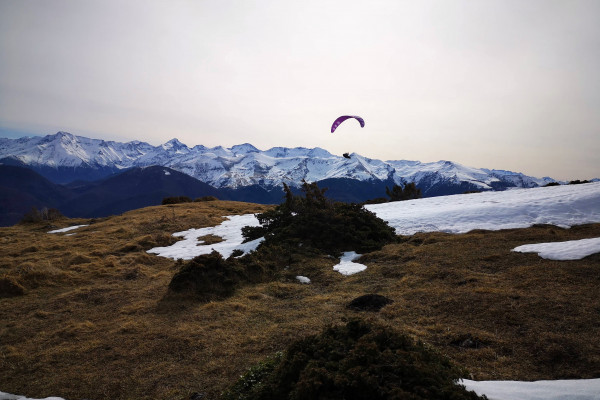 Olistic-Outdoor